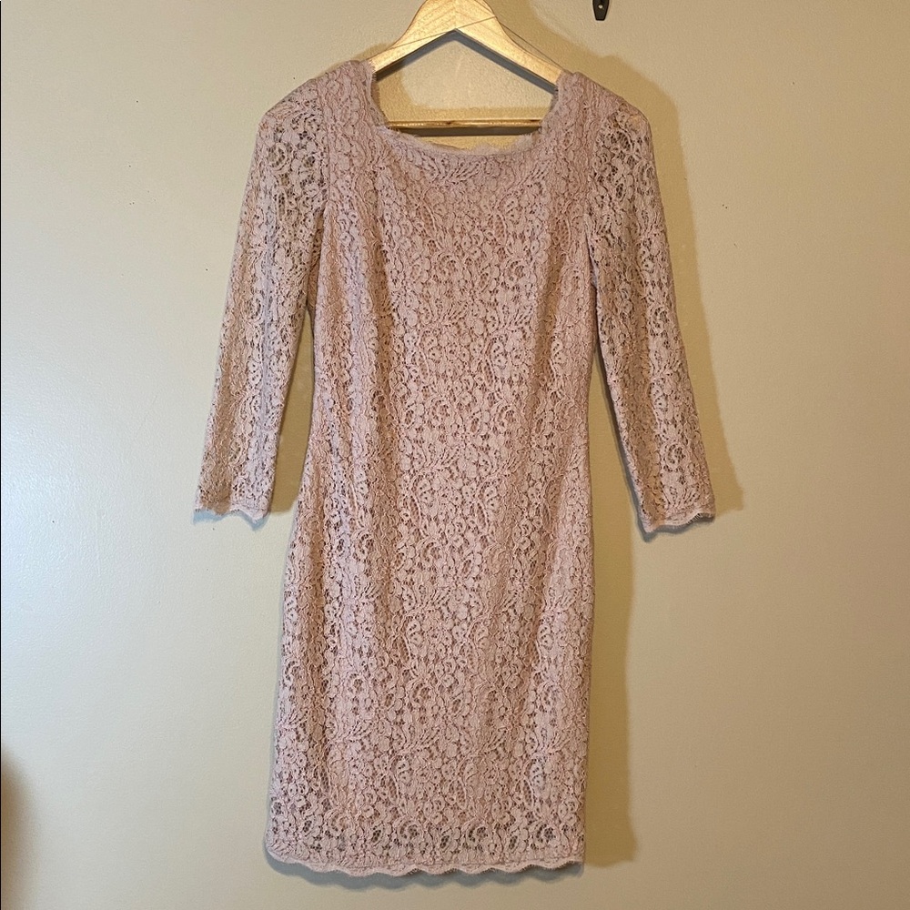 Adrianna Papell Blush Evening Gown